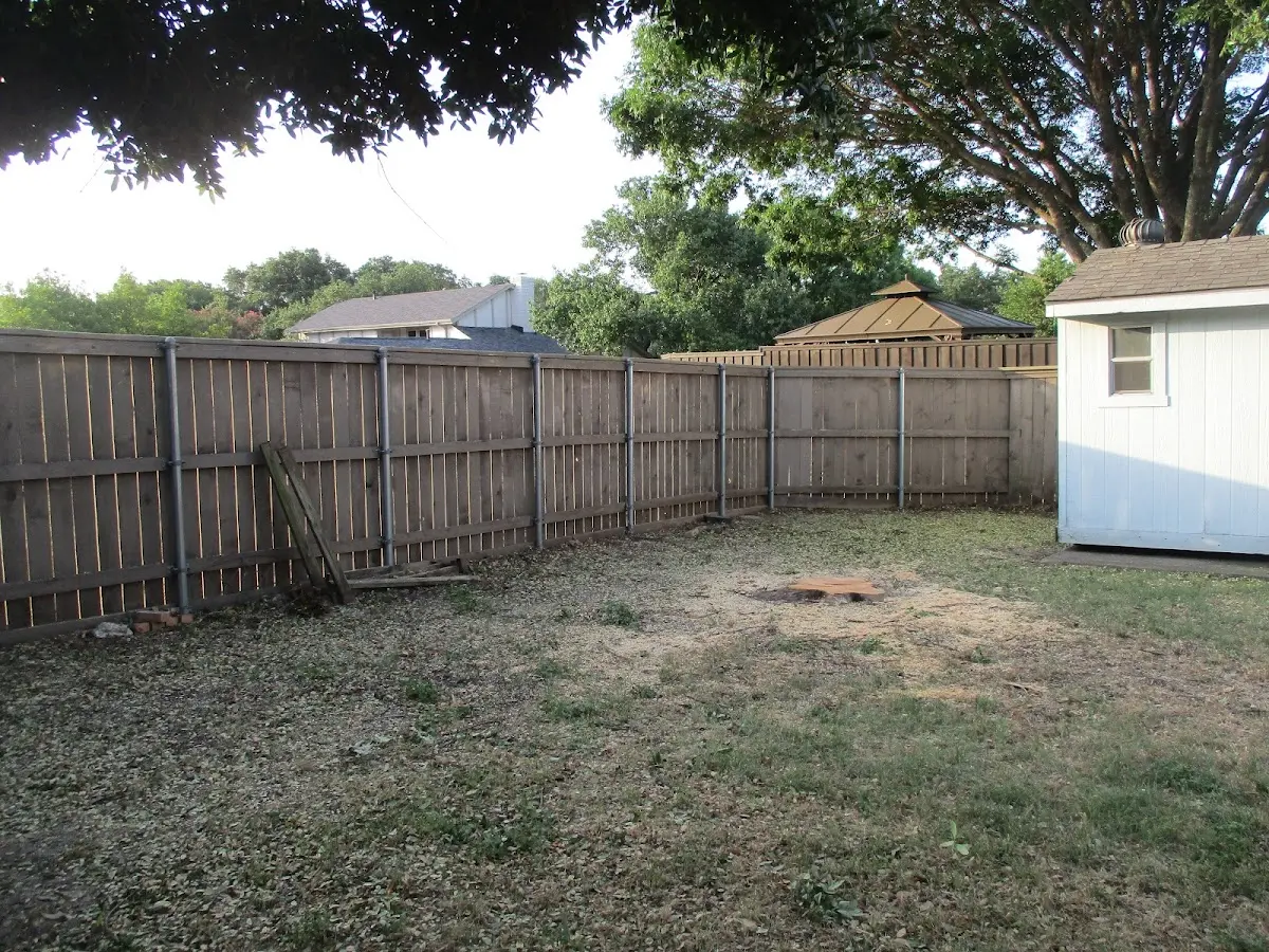 Cleared yard after professional tree removal in Guernsey